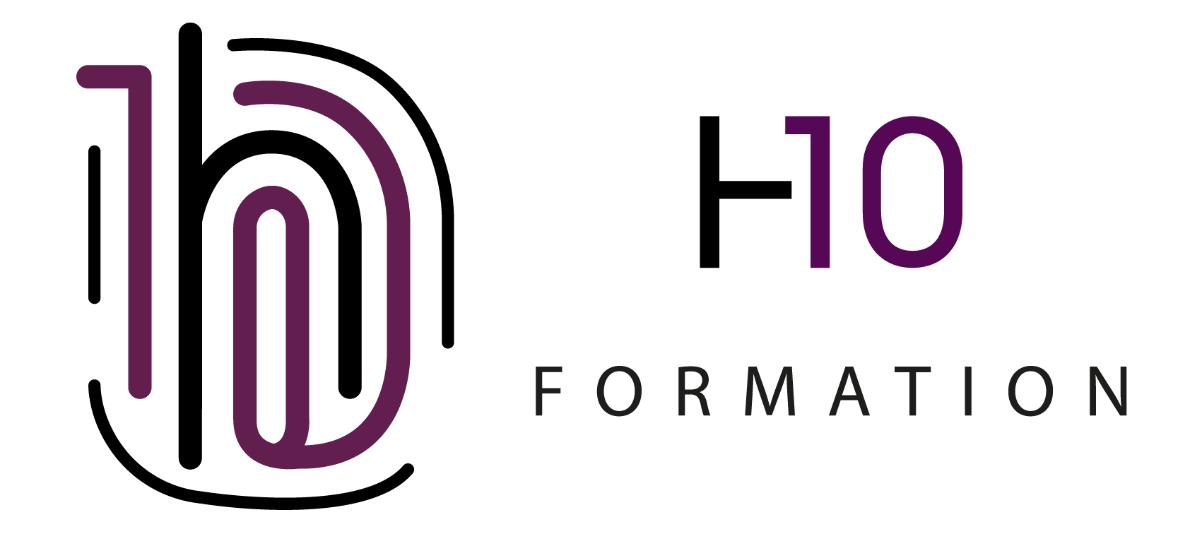 Logo de H10